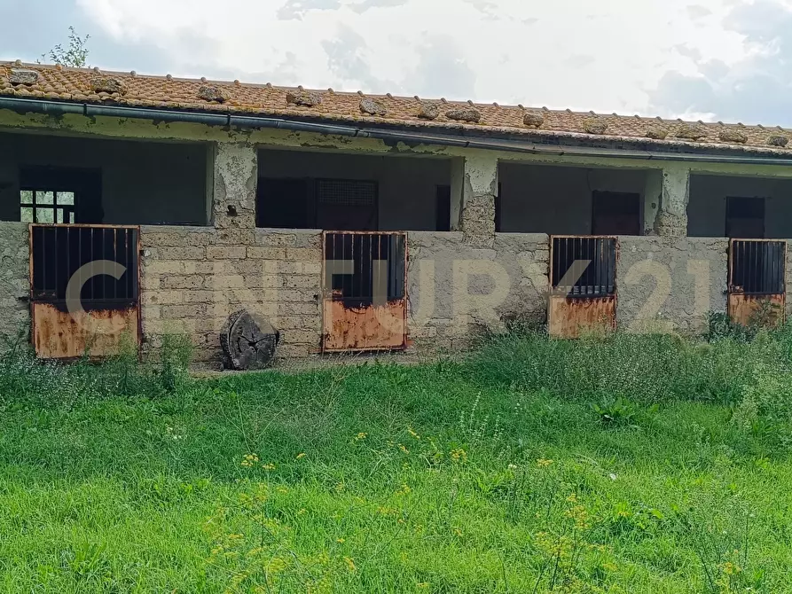 Immagine 28 di Casa indipendente in vendita  in località le croste snc a Manciano