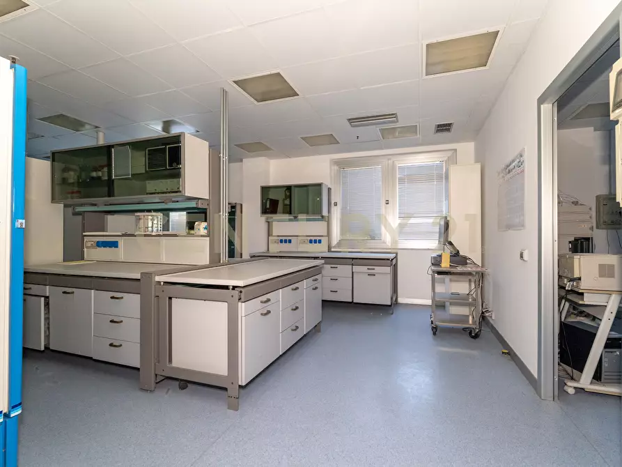 Immagine 21 di Attività artigianale in vendita  in Strada III Mimosa 14 a Catania