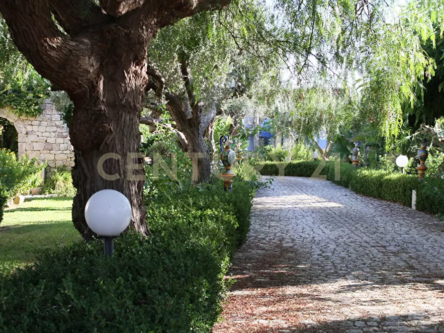 Immagine 33 di Villa in vendita  in spiaggia cava daliga 1C a Scicli