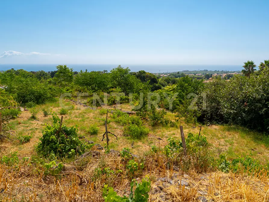 Immagine 25 di Villa in vendita  in Via Grazia Deledda 28 a Santa Venerina