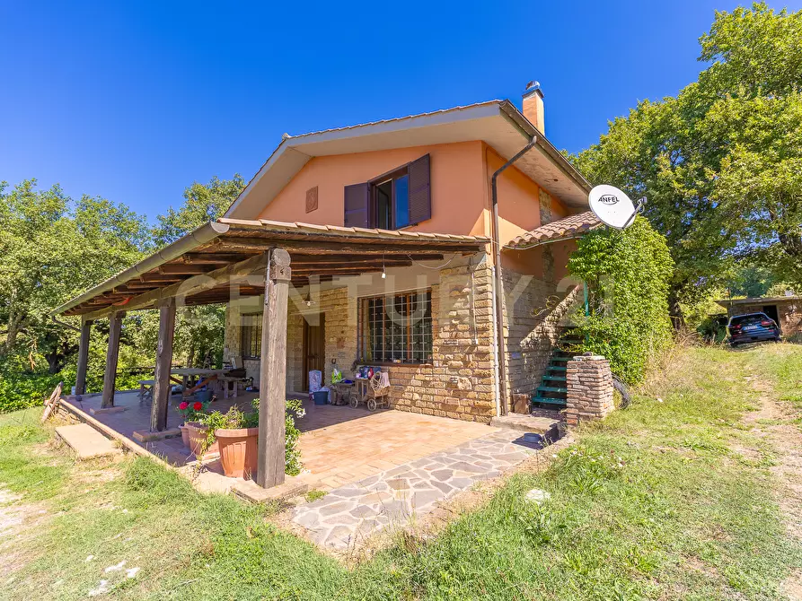 Immagine 4 di Rustico / casale in vendita  in località san quirichello a Barbarano Romano