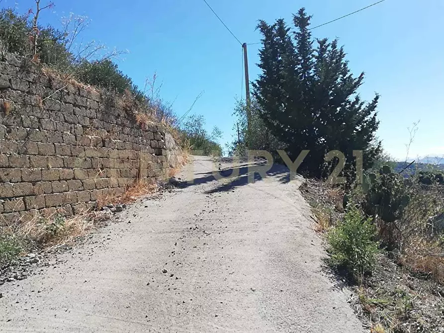Immagine 2 di Terreno agricolo in vendita  in Contrada Saravulli San Mercurio snc a Piana Degli Albanesi