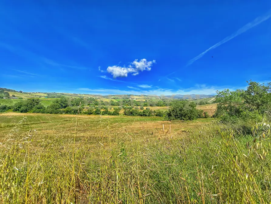 Immagine 24 di Rustico / casale in vendita  in Strada Provinciale Aquilaia a Scansano