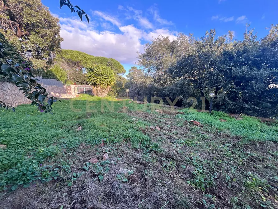 Immagine 10 di Villa in vendita  in Via delle Ginestre 80 a Orbetello