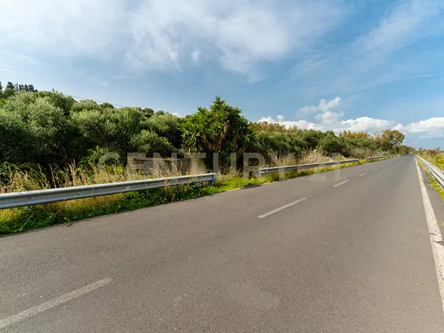 Immagine 36 di Terreno agricolo in vendita  in Contrada Vaccarizzo a Catania