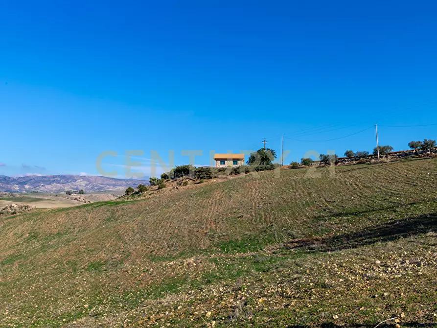 Immagine 4 di Terreno agricolo in vendita  in Strada Provinciale 23b a Centuripe