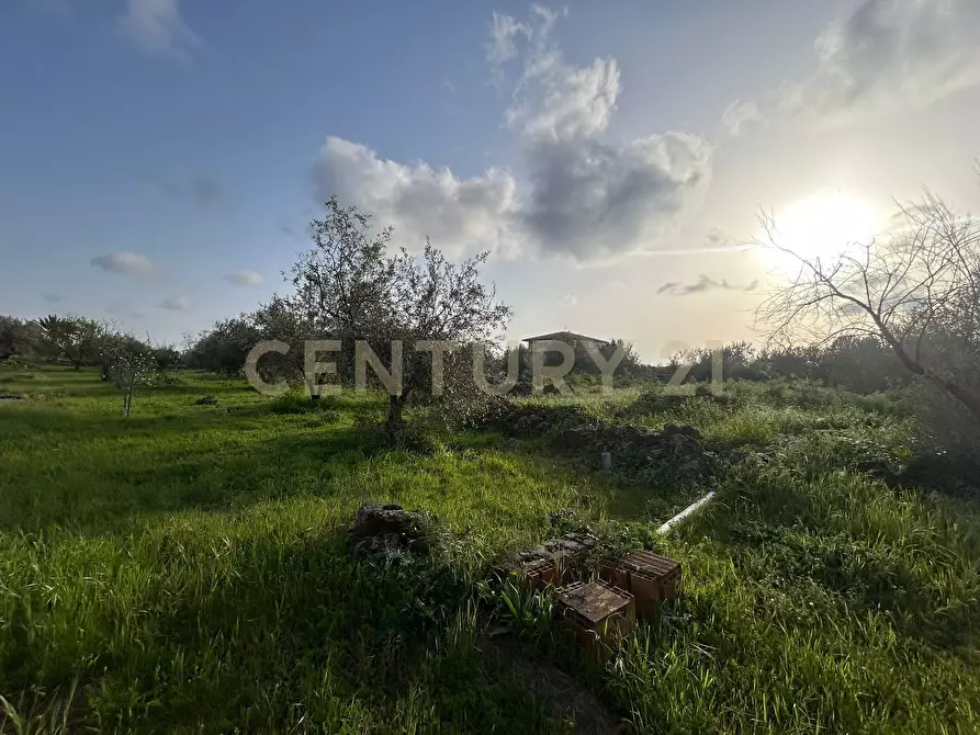 Immagine 32 di Terreno agricolo in vendita  in Via Giovanni Verga 1/A a Misterbianco