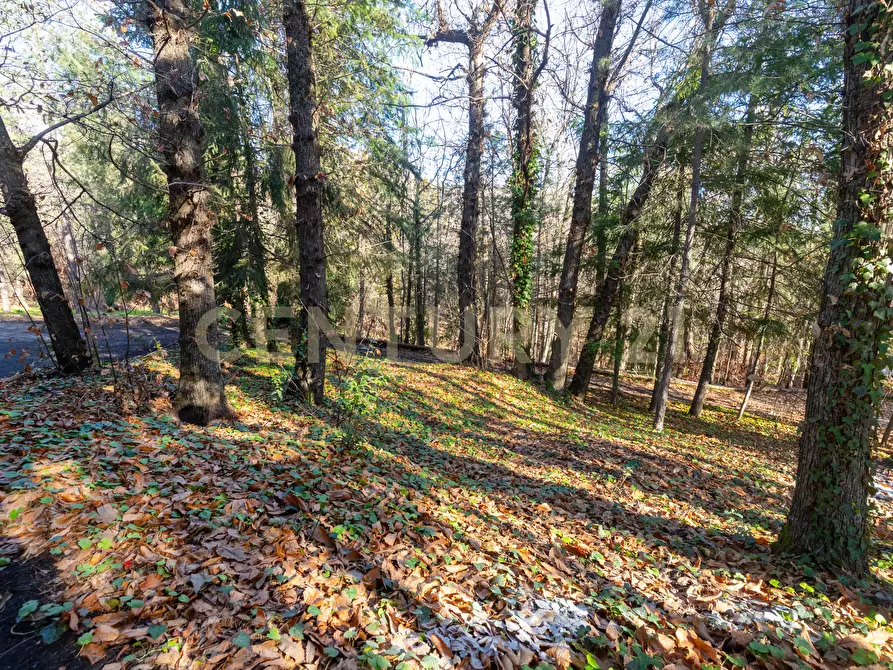 Immagine 7 di Villa in vendita  in Via della Regione 70 a Pedara