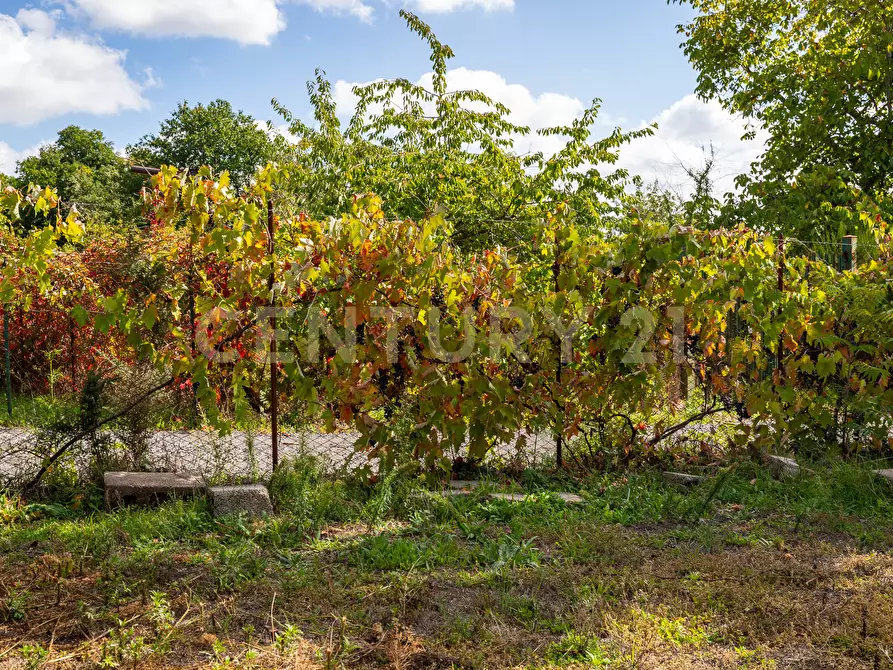 Immagine 30 di Villa in vendita  in Contrada Scolaro Cisterna a Adrano