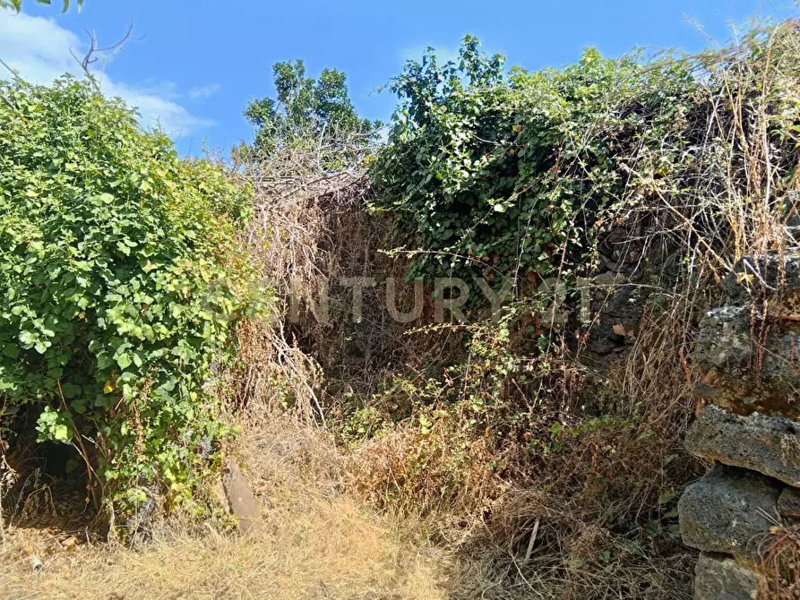 Immagine 17 di Rustico / casale in vendita  in Via Maugeri 12 a Valverde