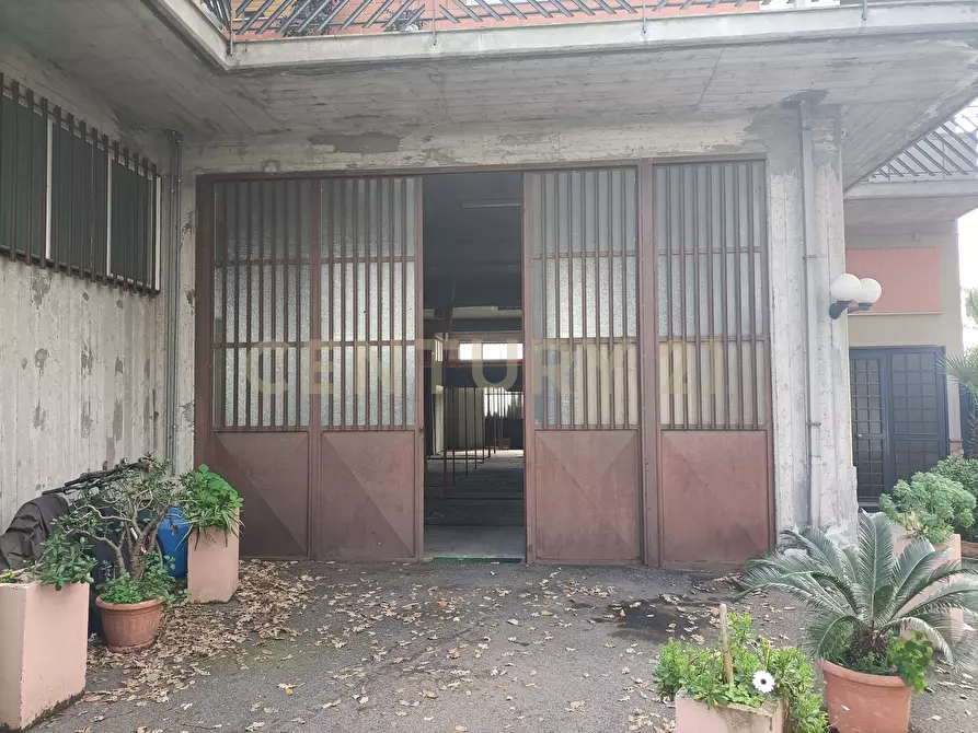 Immagine 10 di Magazzino in affitto  a Viagrande