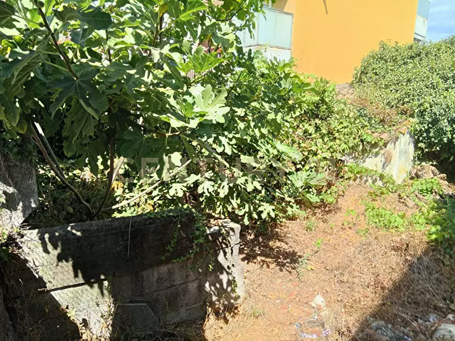 Immagine 22 di Rustico / casale in vendita  in Via Maugeri 12 a Valverde