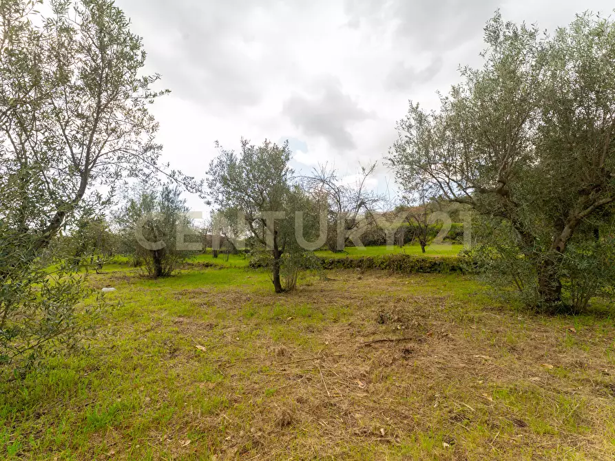 Immagine 39 di Casa indipendente in vendita  in Via Armando Diaz 83 a Zafferana Etnea