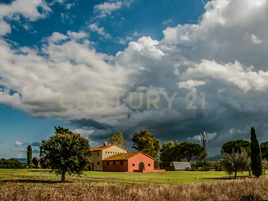 Immagine 7 di Rustico / casale in vendita  in località podere dogana a Roccastrada