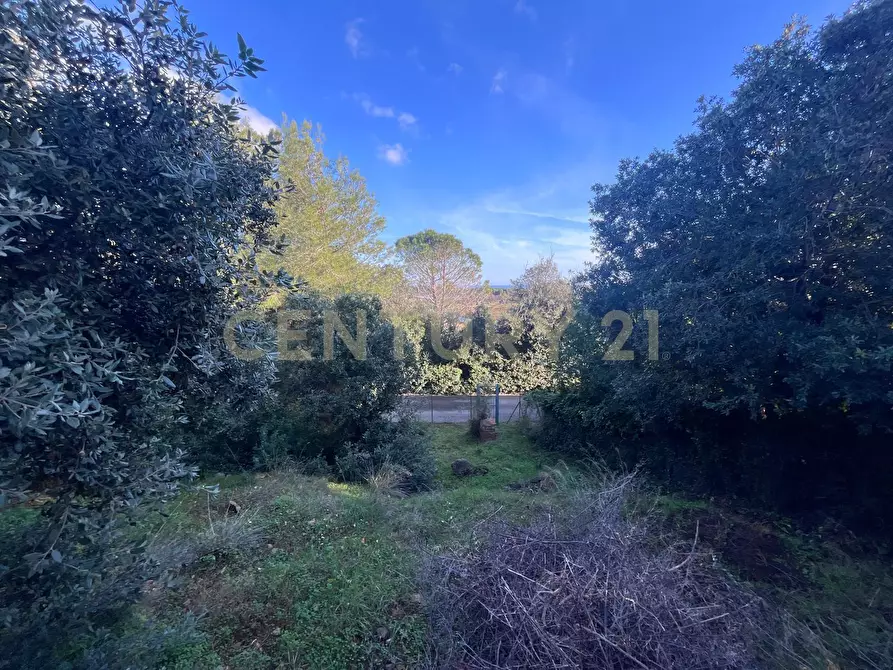 Immagine 12 di Villa in vendita  in Via delle Ginestre 80 a Orbetello