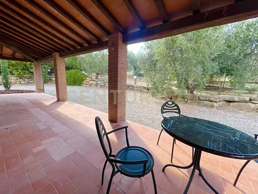 Immagine 6 di Azienda agricola in vendita  in località colle di lupo a Magliano In Toscana