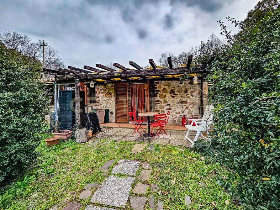 Immagine 13 di Rustico / casale in vendita  in Località Camaiano snc a Roccastrada