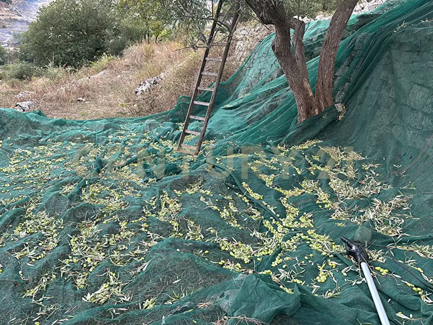 Immagine 43 di Rustico / casale in vendita  in strada provinciale 104 a Modica