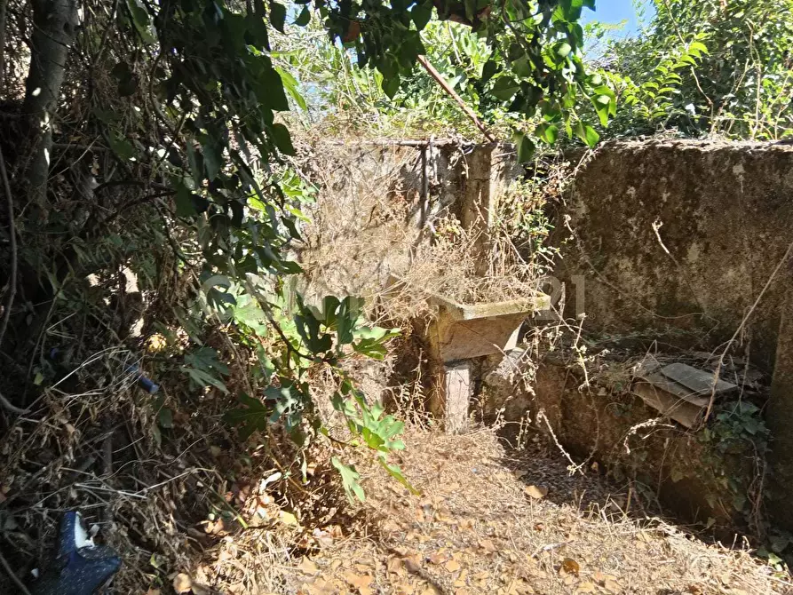 Immagine 3 di Rustico / casale in vendita  in Via Maugeri 12 a Valverde