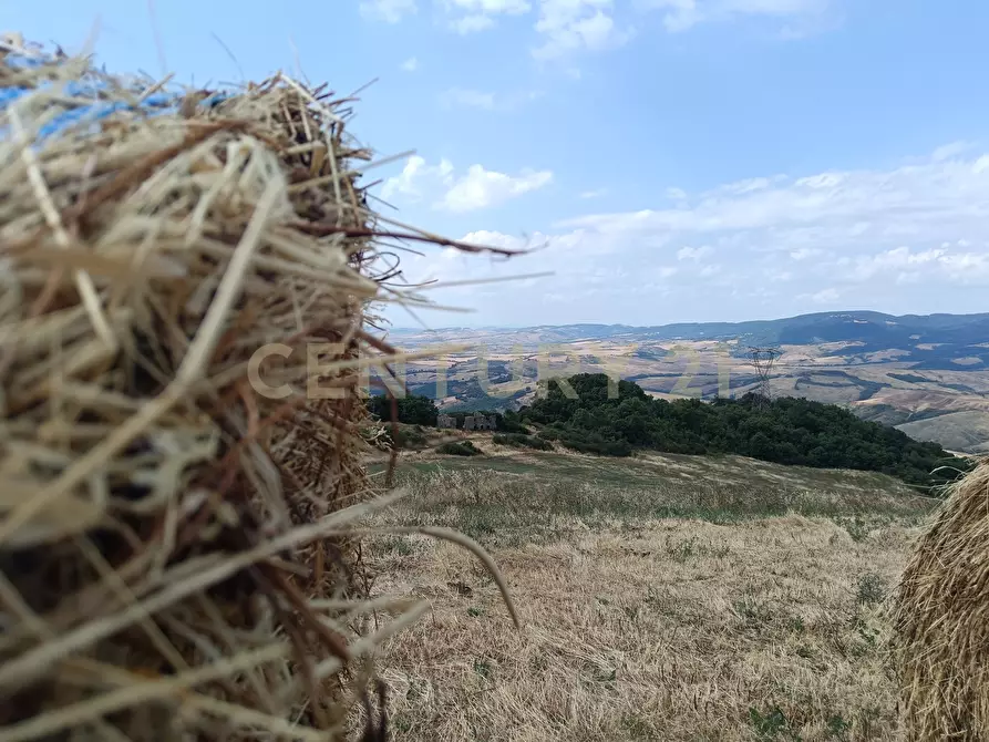 Immagine 14 di Terreno edificabile in vendita  in Località Podere Scarpetta 90 a Radicofani