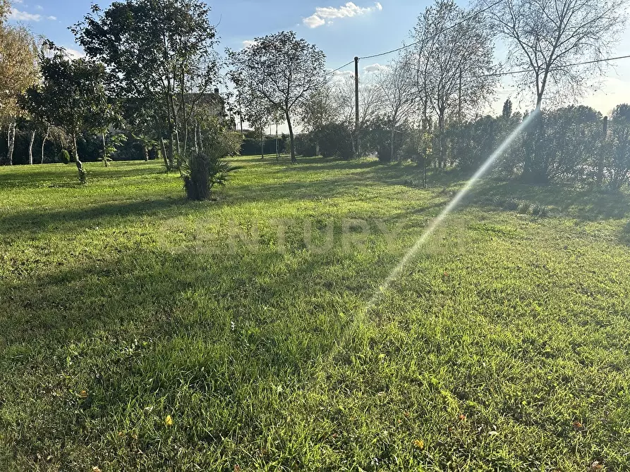 Immagine 57 di Rustico / casale in vendita  in Via Trento 70 a Minerbe