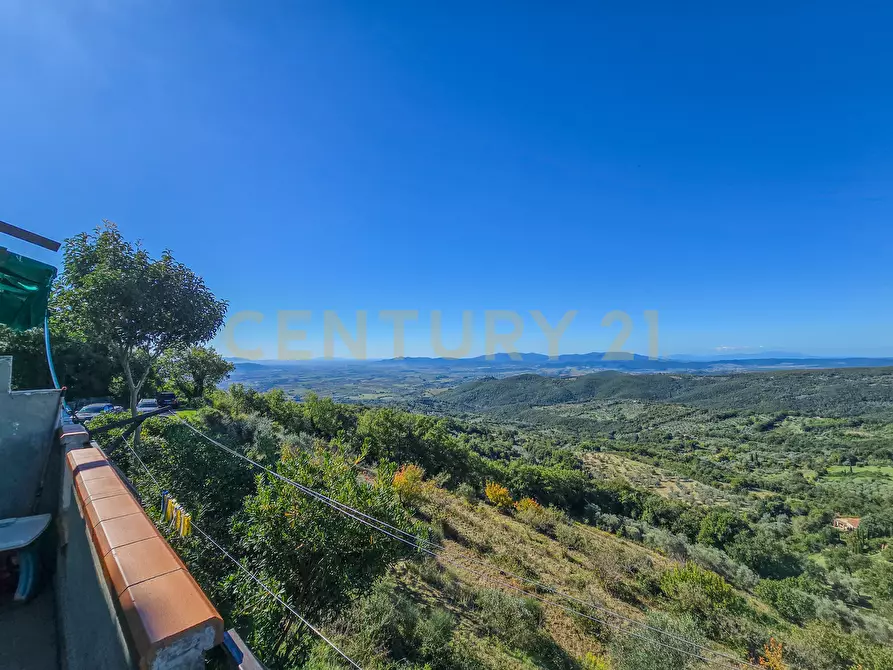 Immagine 3 di Villa in vendita  in località le coste a Roccastrada