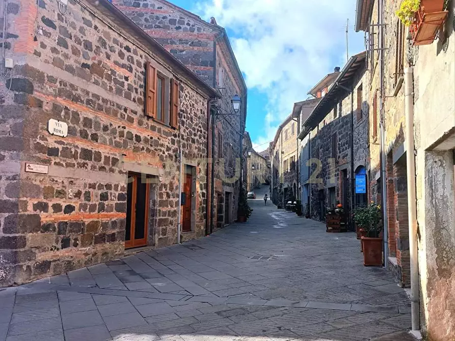 Immagine 29 di Loft/Open space in vendita  in via fonte antese snc a Radicofani