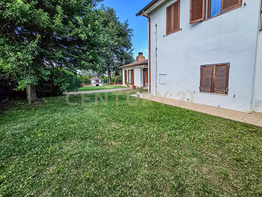 Immagine 14 di Villa in vendita  in Via del Madonnino snc a Grosseto