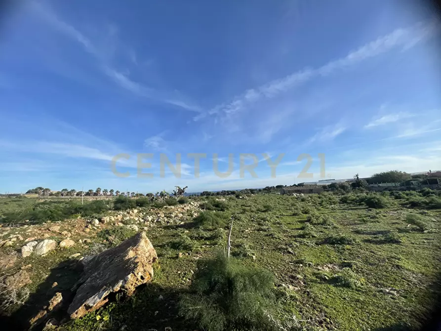 Immagine 5 di Terreno agricolo in vendita  in CONTRADA CORRIDORE CAMPANA SNC a Portopalo Di Capo Passero
