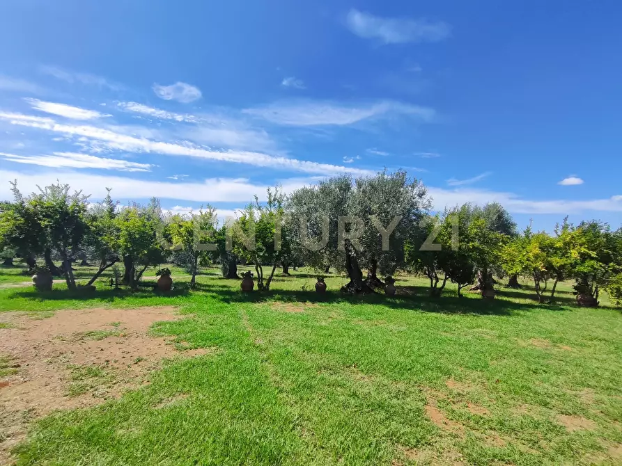 Immagine 6 di Rustico / casale in vendita  in località filare a Gavorrano