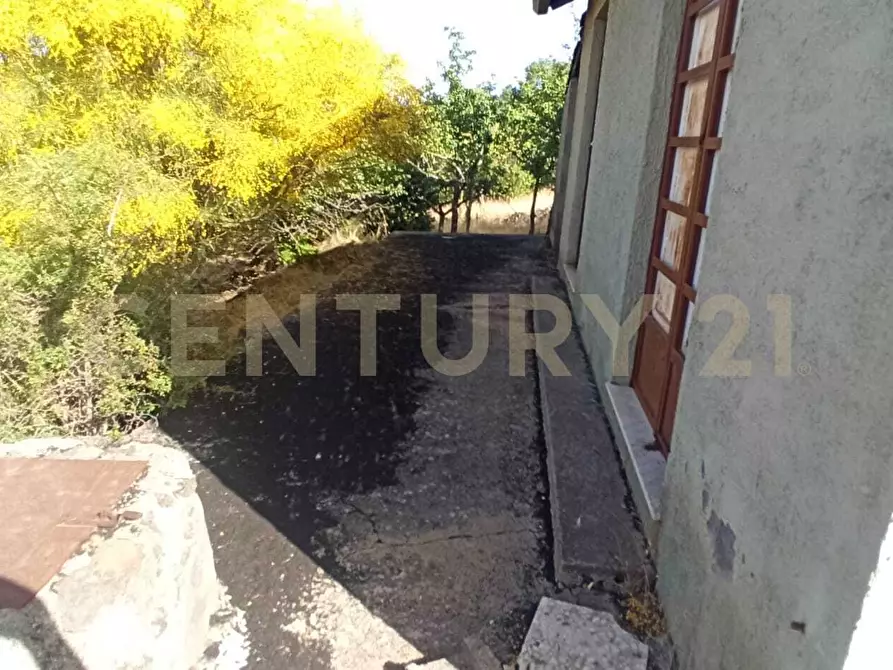 Immagine 3 di Terreno agricolo in vendita  in C.da Filiciusa a Biancavilla