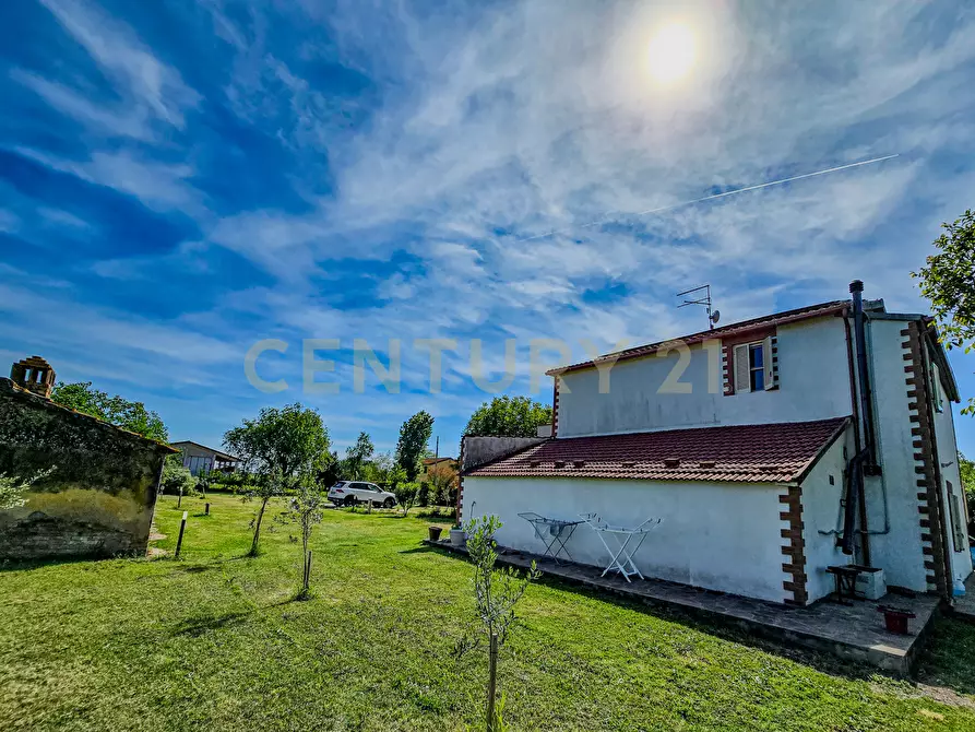 Immagine 5 di Rustico / casale in vendita  in Strada Comunale di Montalcino 65 a Castiglione Della Pescaia