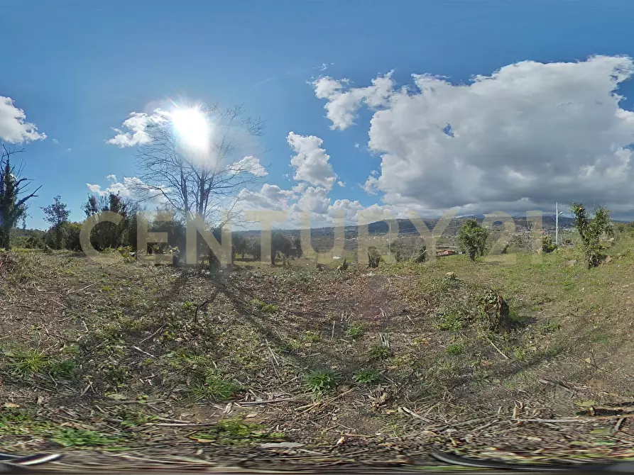 Immagine 33 di Terreno agricolo in vendita  in via giuseppe zinghirino 1 a Giarre