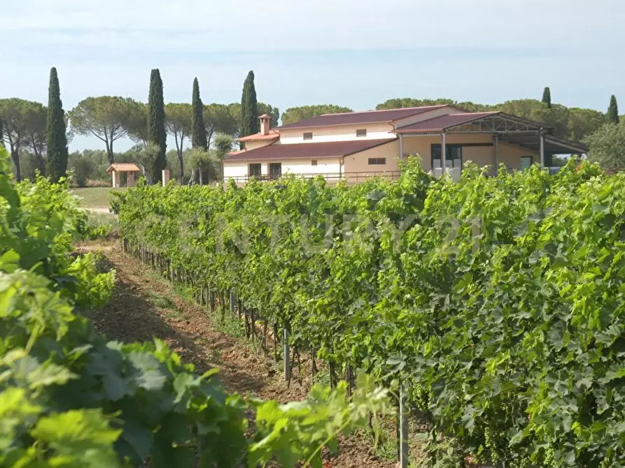 Immagine 24 di Rustico / casale in vendita  a Grosseto