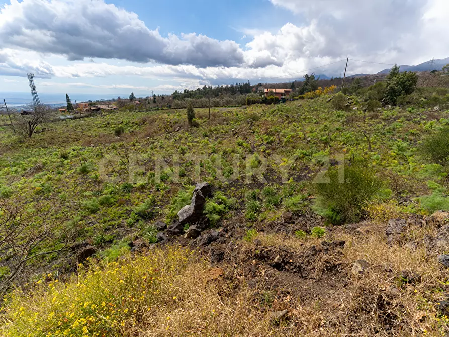 Immagine 32 di Terreno edificabile in vendita  in Via Nocille 55 a Mascali
