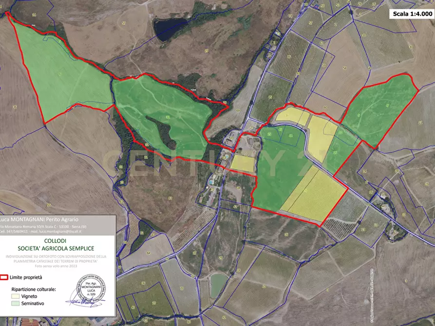 Immagine 30 di Rustico / casale in vendita  in podere collodi snc a Montalcino