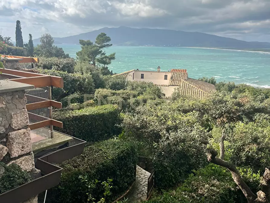 Immagine 12 di Trilocale in vendita  in viia delle ginestre 32 a Orbetello