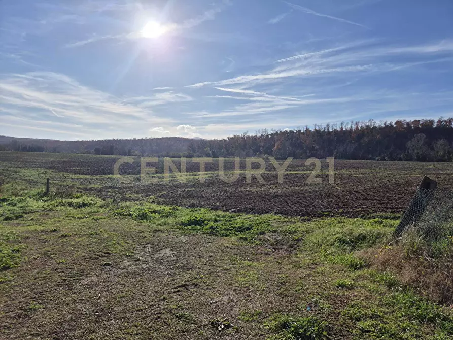 Immagine 27 di Rustico / casale in vendita  in località aratrice a Civitella Paganico