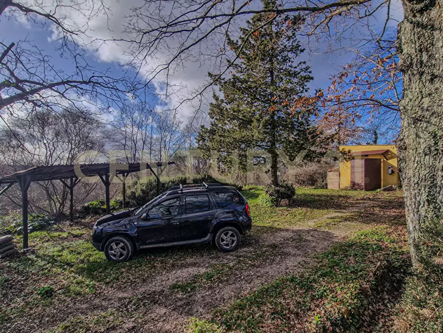 Immagine 25 di Terratetto in vendita  in Località Scovaventi 1 a Semproniano