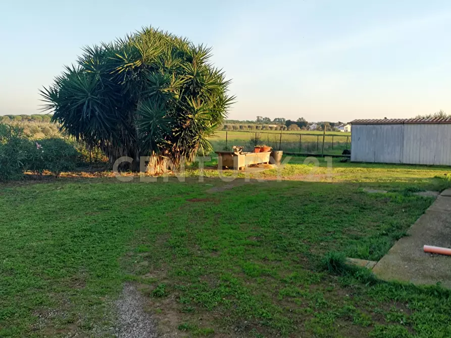 Immagine 13 di Rustico / casale in vendita  in Strada Pedemontana a Capalbio