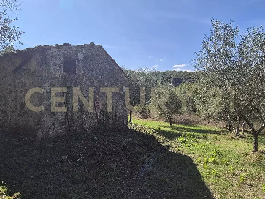Immagine 4 di Rustico / casale in vendita  in Località Le Fonti a Civitella Paganico