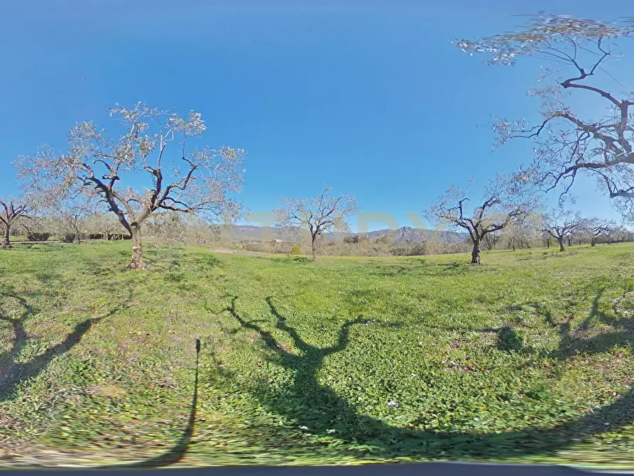 Immagine 49 di Villa in vendita  in Strada Comunale Calderara 5 a Randazzo