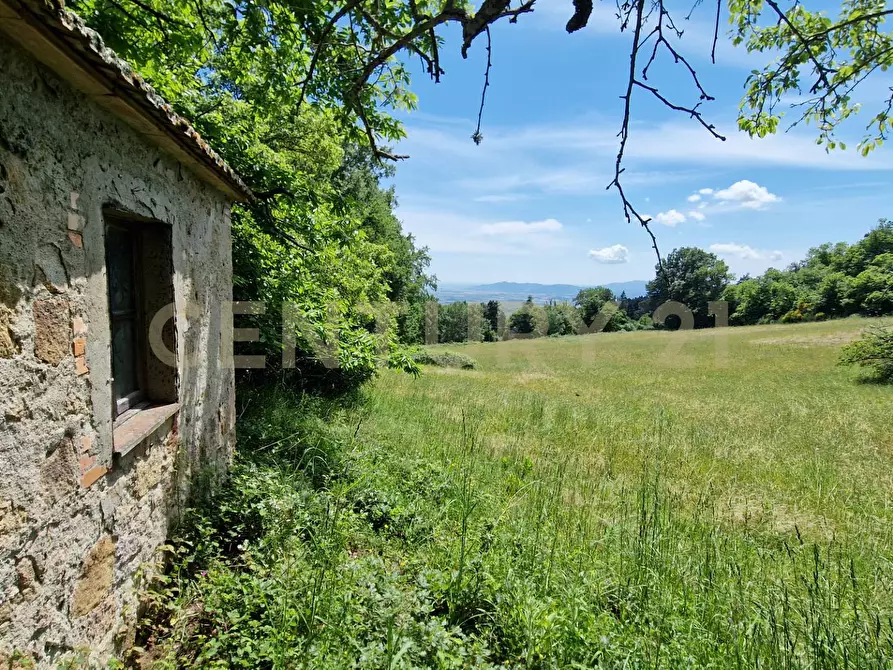 Immagine 1 di Rustico / casale in vendita  a Roccastrada