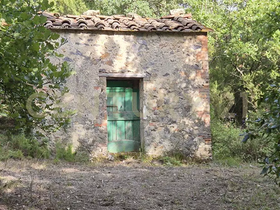 Immagine 2 di Rustico / casale in vendita  in località vignaccia a Civitella Paganico
