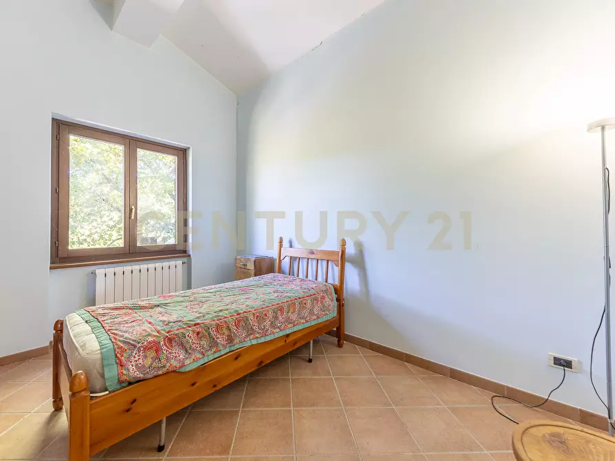 Immagine 82 di Rustico / casale in vendita  in località san quirichello a Barbarano Romano