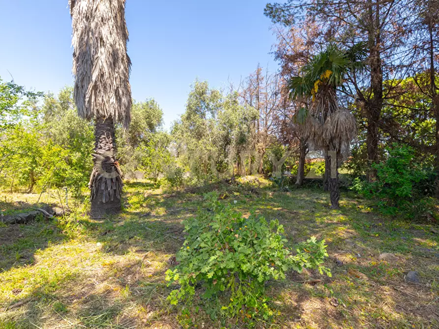 Immagine 5 di Rustico / casale in vendita  in Via Roccamena 84 a Acireale