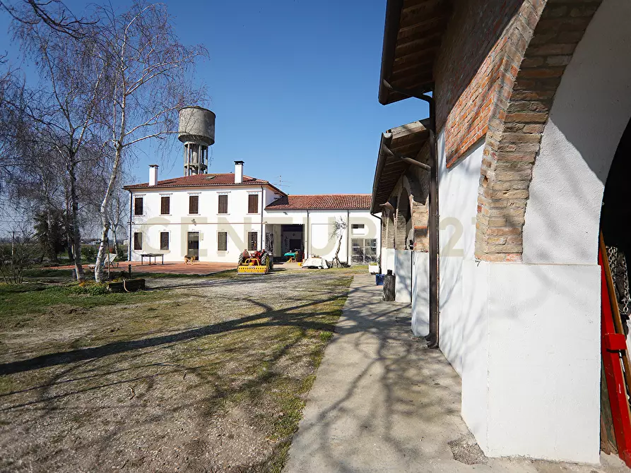 Immagine 11 di Rustico / casale in vendita  in Via Trento 70 a Minerbe