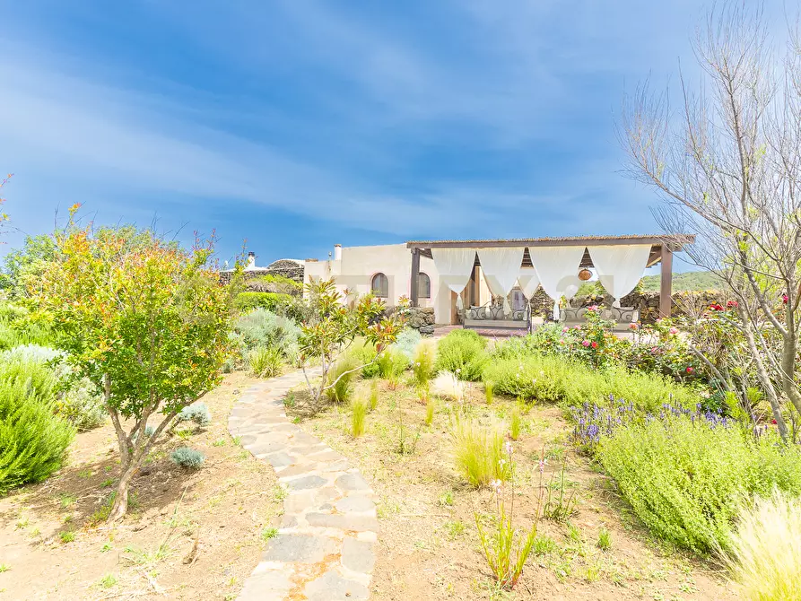 Immagine 39 di Casa indipendente in vendita  in 91017 Pantelleria TP a Pantelleria