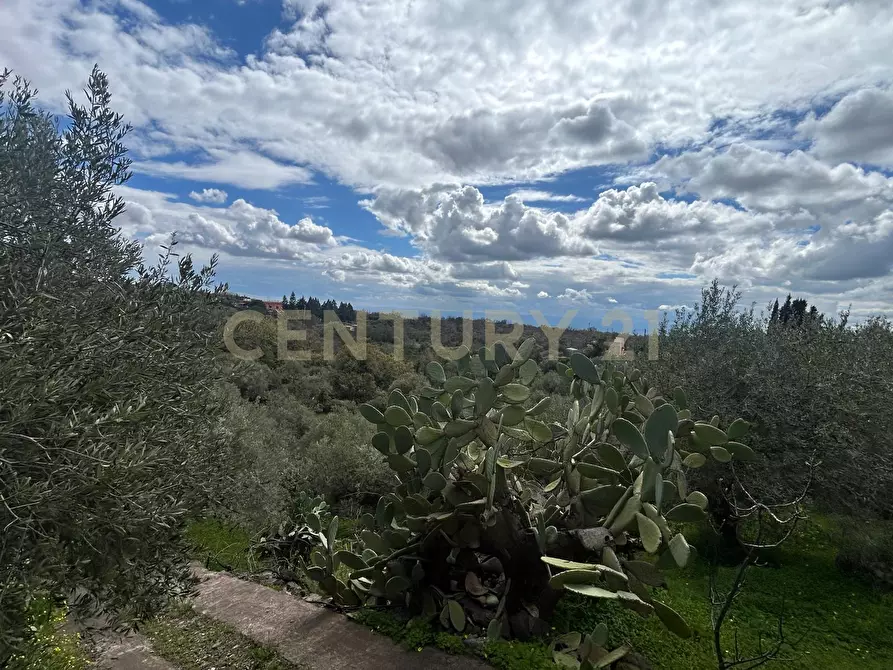 Immagine 16 di Terreno edificabile in vendita  in Viale Giovanni Falcone 9 a Camporotondo Etneo
