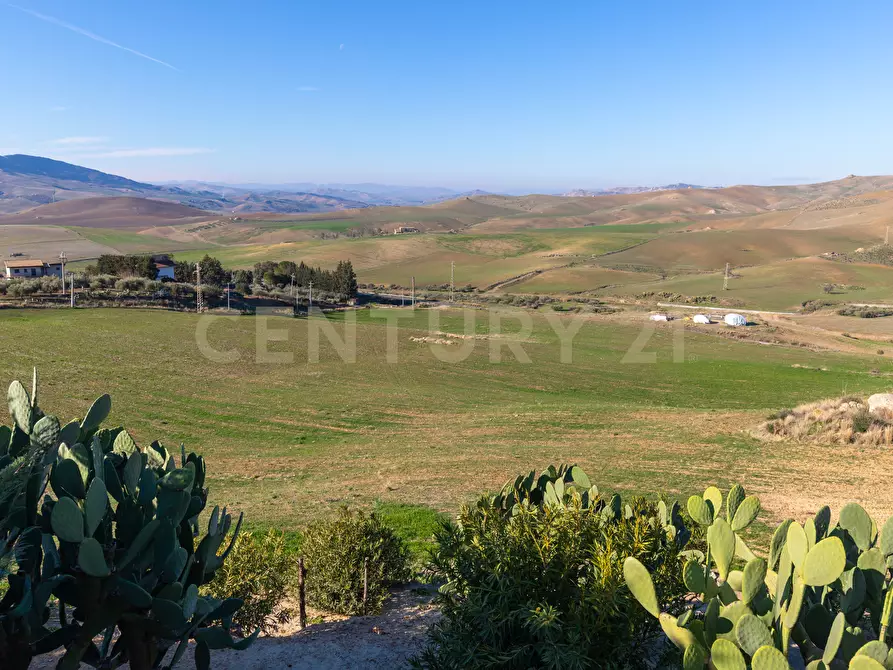 Immagine 21 di Terreno agricolo in vendita  in Strada Provinciale 23b a Centuripe